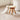 CasaDosa AsteroidOrbit Designed Macarons Fun Cat Stool Pet-Friendly Furniture Human-Pet Interactive Furniture Pet Toys