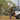 Car side tent for outdoor camping, 420D Oxford fabric khaki fabric side tent