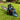SENIX Petrol 54CC 20" Rear Handle Chainsaw
