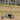 Eeeza High Quality Intelligent Follow Golf Trolley