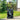 SENIX 18V4Ah 3500RPM 32cm Push Lawn Mower With Brushed Motor