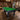 Eeeza 7FT Black Frame Slate Billiard Pool Table With Full Accessories
