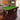 Eeeza 7FT Walnut Frame Slate Billiard Pool Table With Full Accessories