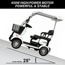 Eeeza E30 Electric Mobility Scooter, 1000W 60V 20Ah