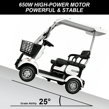 Eeeza E30 Electric Mobility Scooter, 1000W 60V 20Ah