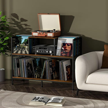 Double-Sided Record Player Stand with Vinyl Storage