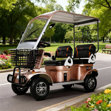 Eeeza E60 Electric Mobility Scooter with Long-Range, 650W 60V 20Ah