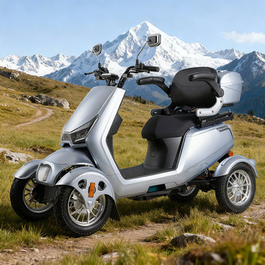 Eeeza SN4L Adjustable Electric Mobility Scooter, 800W 60V 20Ah