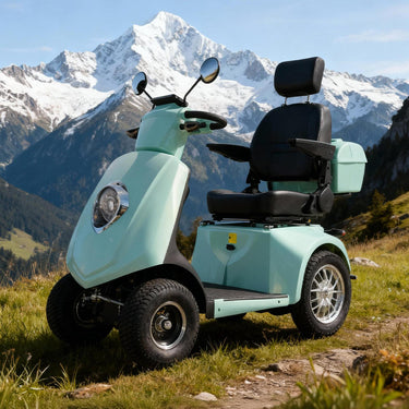 Eeeza JXY5D Adjustable Electric Mobility Scooter, 500W 48V 20Ah