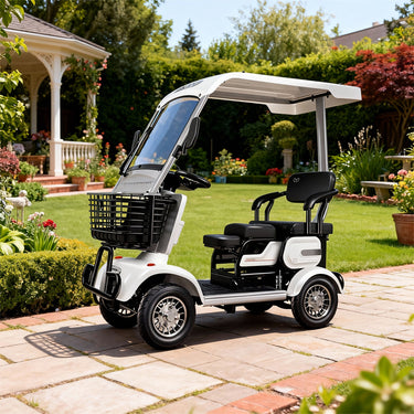 Eeeza 650W 60V 20Ah Electric Mobility Scooter