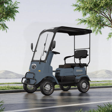 Eeeza 650W 60V 20Ah Electric Mobility Scooter
