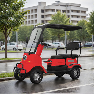 Eeeza 650W 60V 20Ah Electric Mobility Scooter