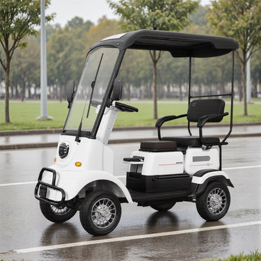 Eeeza 650W 60V 20Ah Electric Mobility Scooter