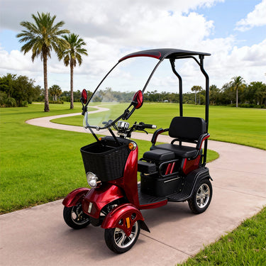 Eeeza B23 Family Electric Mobility Scooter, 800W 48V 20Ah