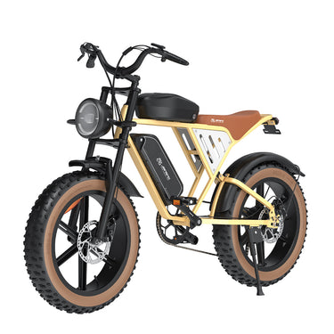 JANSNO X70 Electric Bicycle, 750W Motor, 90Nm, 48V 14Ah+20Ah Battery