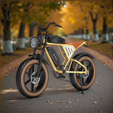 JANSNO X70 Electric Bicycle, 750W Motor, 90Nm, 48V 14Ah+20Ah Battery