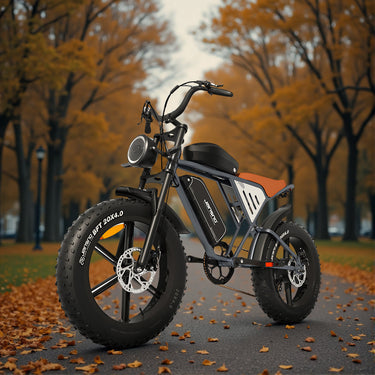 JANSNO X70 Electric Bicycle, 750W Motor, 90Nm, 48V 14Ah+20Ah Battery