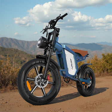 JANSNO X60 Electric Bicycle, 750W Motor, 120Nm, 48V 23Ah Battery