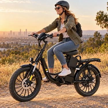 VINXS MY26 Electric Cargo Bike, Black, 48V, 52Ah, 2496Wh