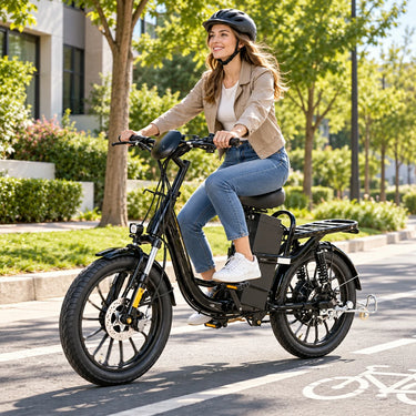VINXS MY26 Electric Cargo Bike, Black, 48V, 52Ah, 2496Wh